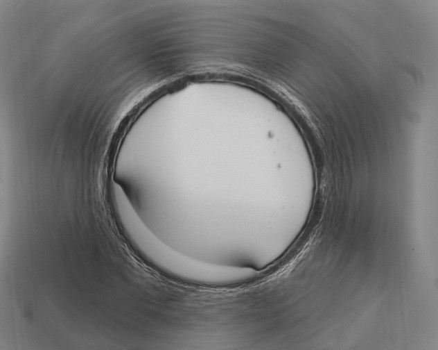 X0000113100877200909251029