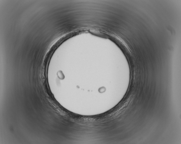 X0000113100878200909251029