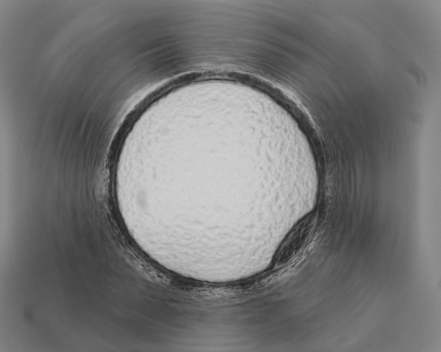 X0000113100879200909251029