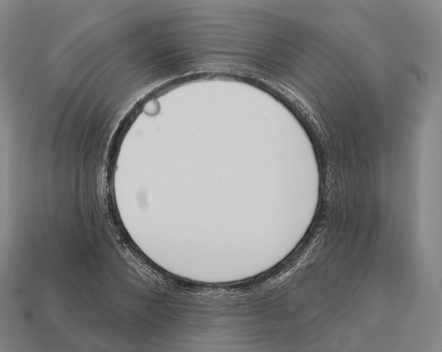 X0000113100880200909251029