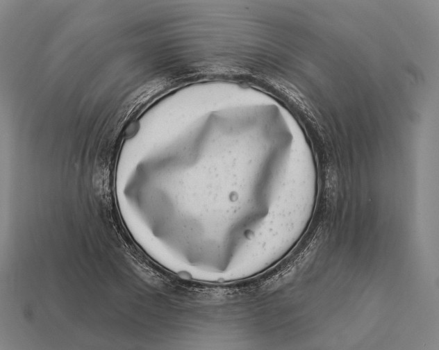 X0000113100881200909251029
