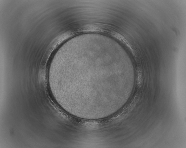 X0000113100882200909251029