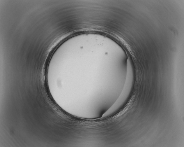 X0000113100885200909251029