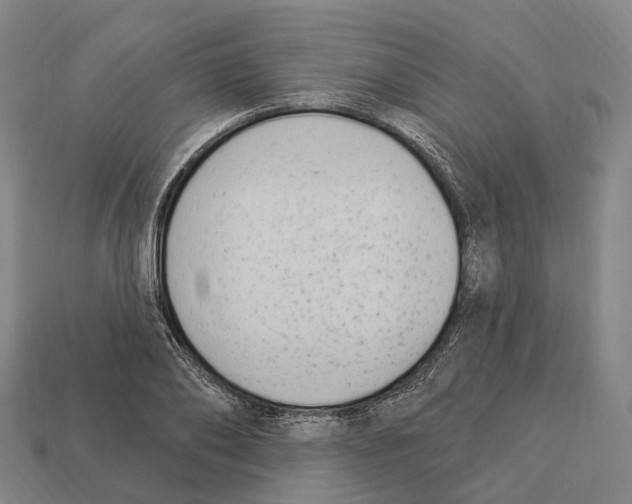 X0000113100886200909251029