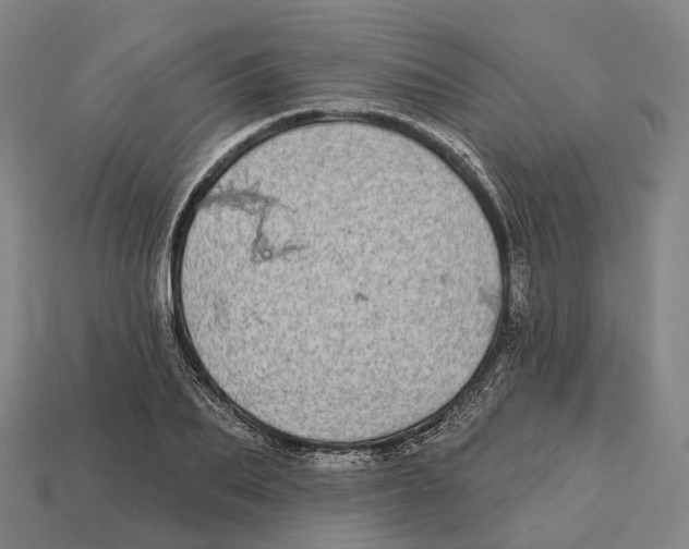 X0000113100887200909251029