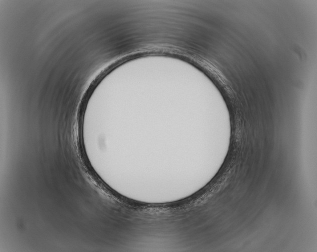 X0000113100888200909251029