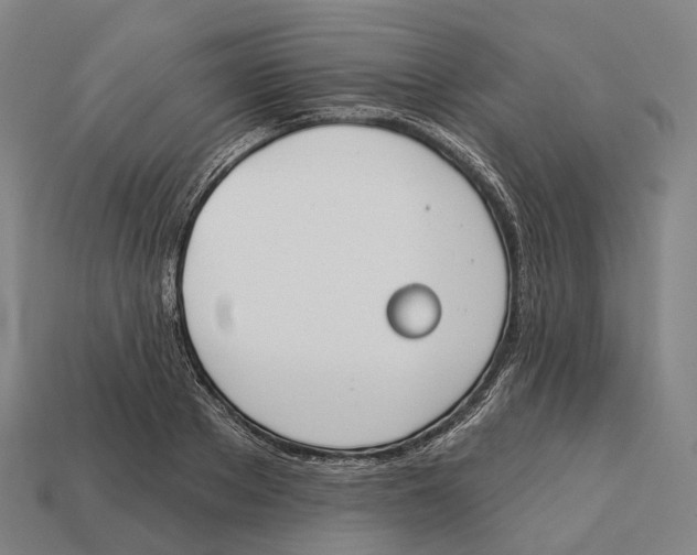 X0000113100889200909251029