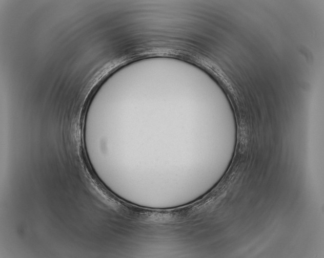 X0000113100890200909251029