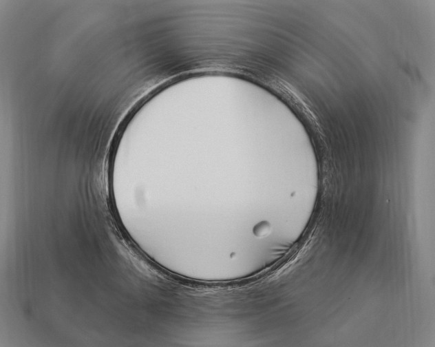 X0000113100892200909251029