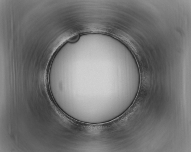 X0000113100893200909251029