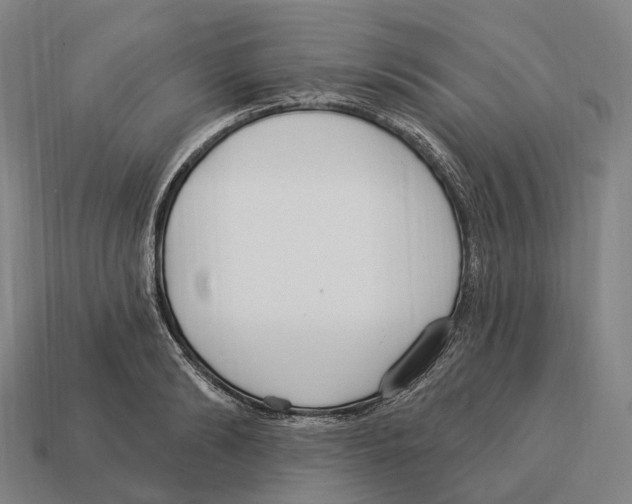 X0000113100894200909251029
