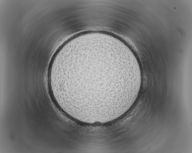 X0000113100895200909251029