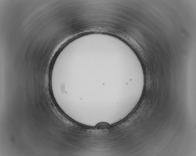 X0000113100896200909251029