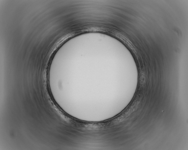X0000113100898200909251029