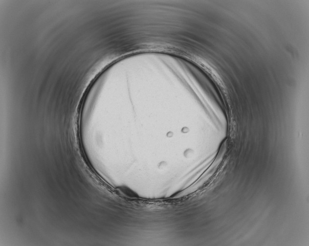 X0000113100899200909251029