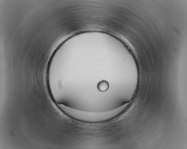 X0000113100901200909251029