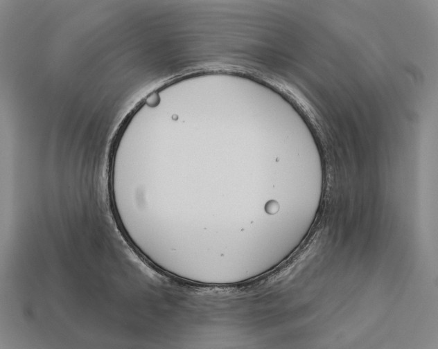 X0000113100902200909251029