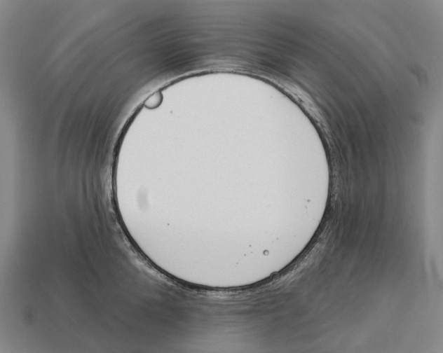 X0000113100904200909251029
