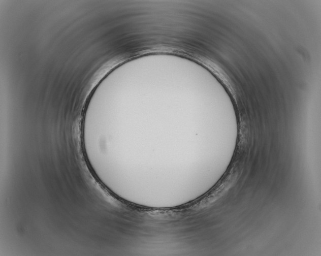 X0000113100906200909251029
