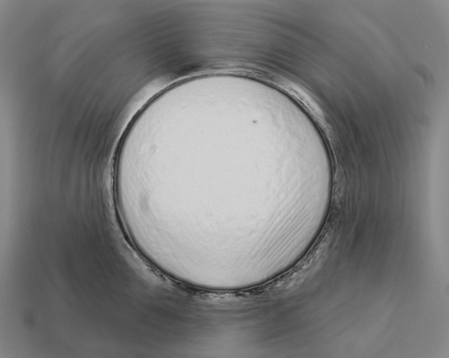 X0000113100907200909251029