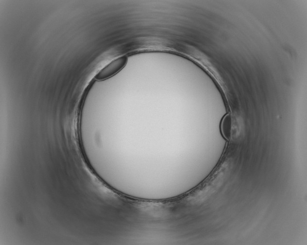 X0000113100909200909251029