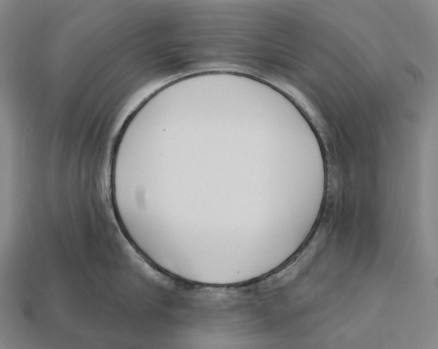 X0000113100910200909251029