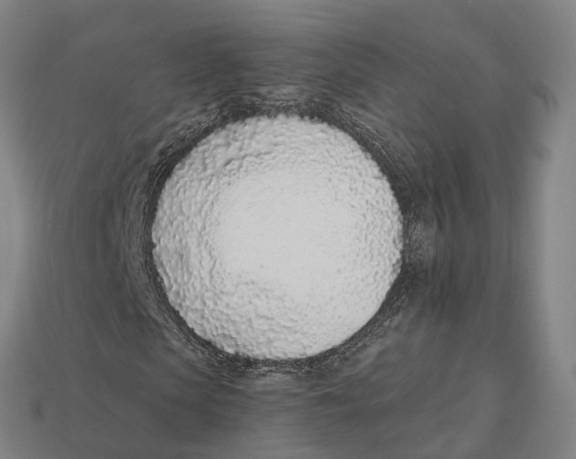 X0000113100913200909251028