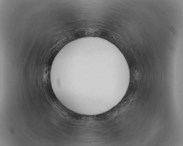 X0000113100914200909251028