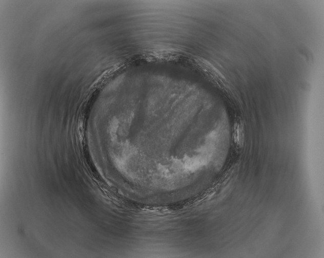 X0000113100915200909251028