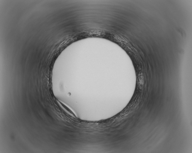 X0000113100916200909251028