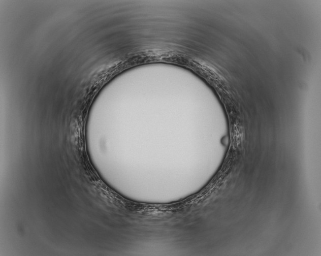 X0000113100917200909251028