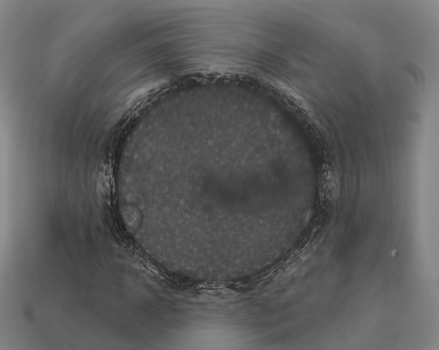 X0000113100918200909251028