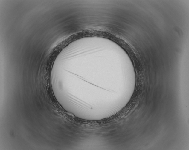 X0000113100919200909251028