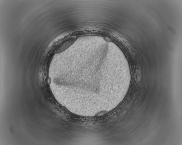 X0000113100920200909251028