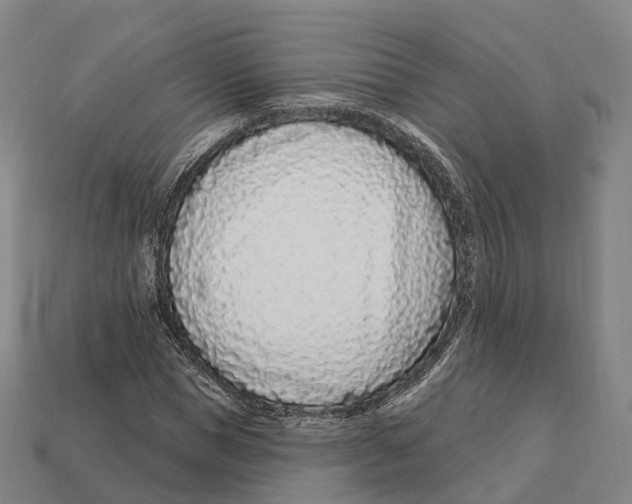 X0000113100921200909251028