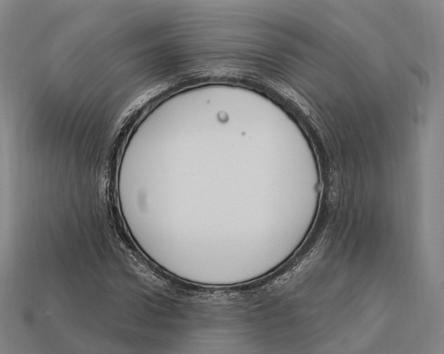 X0000113100922200909251028