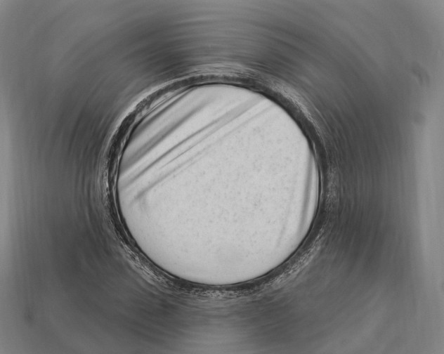 X0000113100923200909251028