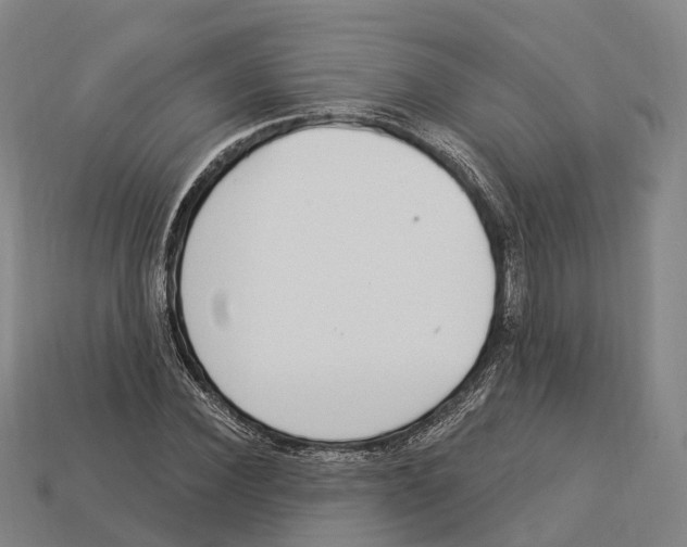 X0000113100924200909251028