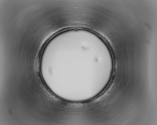 X0000113100925200909251028
