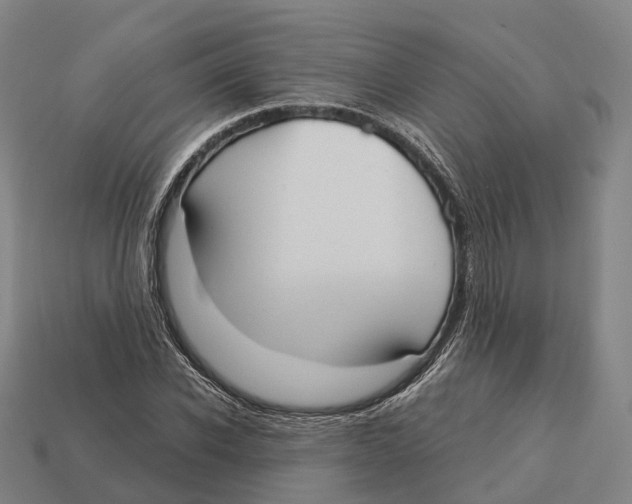 X0000113100926200909251028