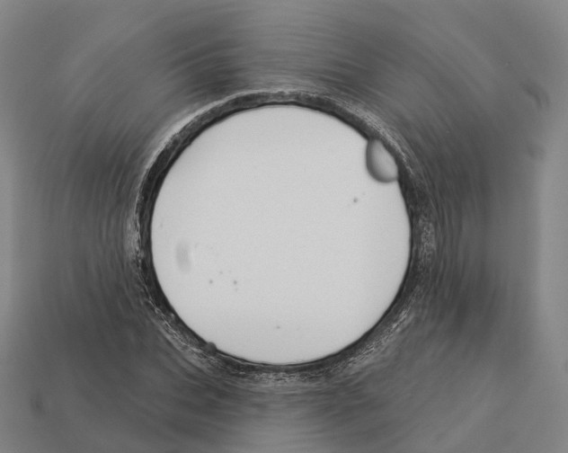 X0000113100927200909251028