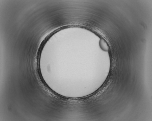 X0000113100928200909251028