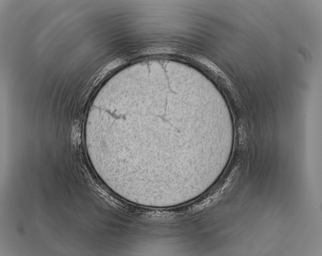 X0000113100929200909251028