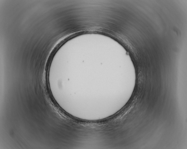 X0000113100932200909251028