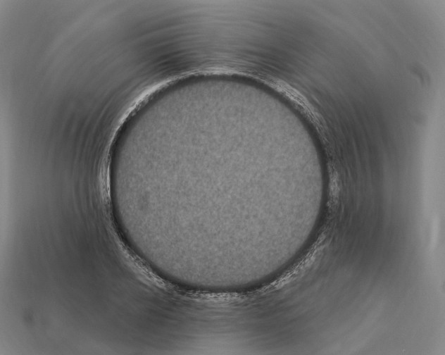X0000113100934200909251028