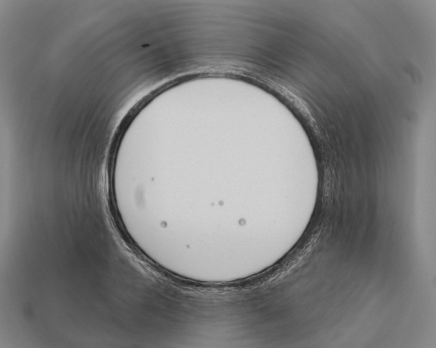 X0000113100936200909251028
