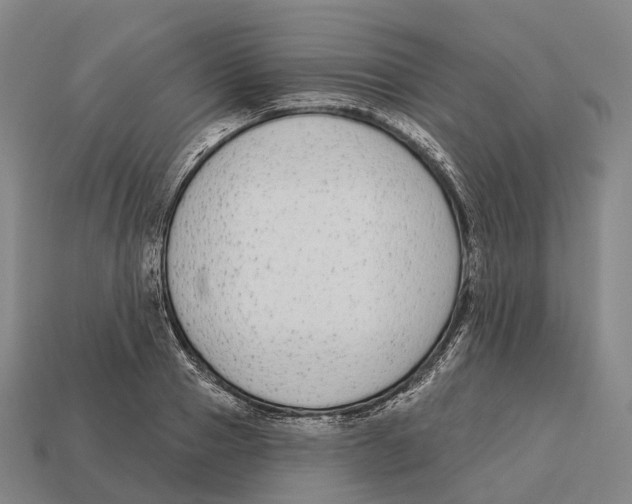X0000113100937200909251028