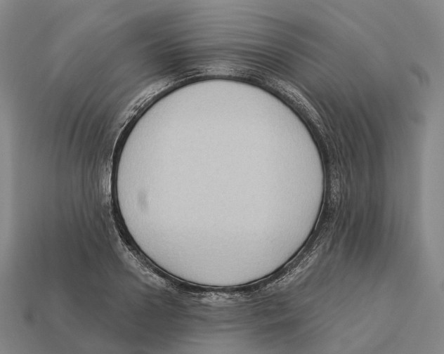 X0000113100938200909251028