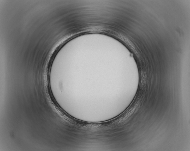 X0000113100939200909251028