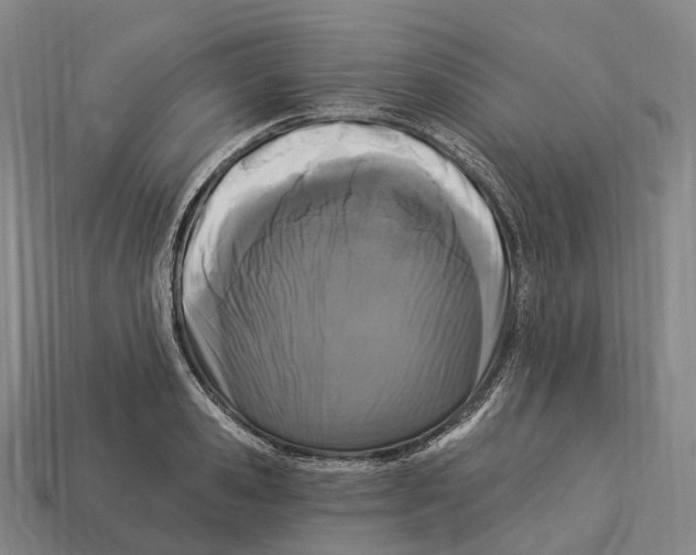 X0000113100941200909251028